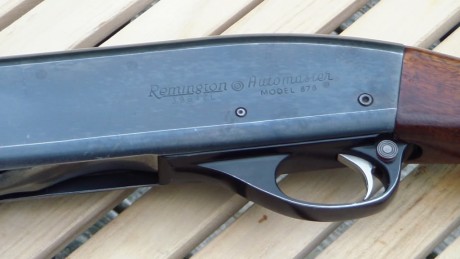 He de confesaros que no tenía la intención de escribir nada sobre la Remington 878 Automaster, pero el 10