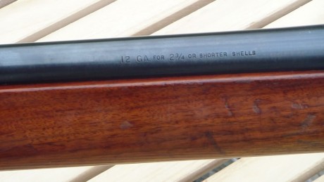 He de confesaros que no tenía la intención de escribir nada sobre la Remington 878 Automaster, pero el 20