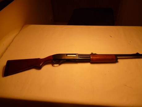 . 61