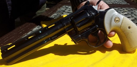 vendo clot python de 6 pulgadas en estado impecable ha toda prueba,se puede ver hi provar en el club de 01