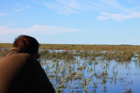 Muy buena , este domingo salí con cazadores a cosechar lo que el agua dejo, y aquí cuelgo unas foto para 02