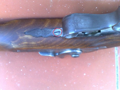 Hola, soy nueva en este foro y como hay muchos entendidos sobre las pistolas de Avancarga me gustaría 172