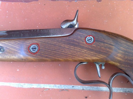 Hola, soy nueva en este foro y como hay muchos entendidos sobre las pistolas de Avancarga me gustaría 170