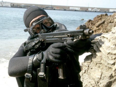 Hace unos días encontré por casualidad en una web extranjera un arma a la venta que hacía muchos años 110