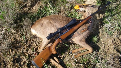 Hablando del tema para el compañero que quiere comprar un rifle para sus clientes que vengan sin arma 00