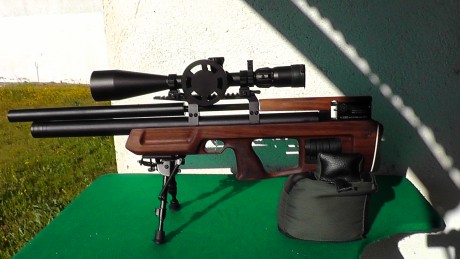 He oido hablar mal de los calibres 177 y 22 ac en la Kaliber Cricket.Alguien ha tenido una experiencia 31