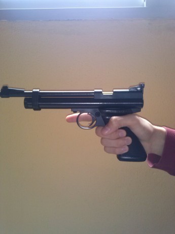 Buenos dias, compañeros, mi hijo está antojado en comprarse la pistola crosman 2240 en 5,5, va con botellas 20