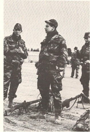 Hace unos días encontré por casualidad en una web extranjera un arma a la venta que hacía muchos años 120