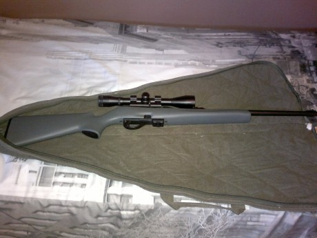 Hola me gustaría comprar una carabina remington 597 22l.r la conozco y e tirado con ella varias veces 81