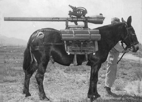 Hace unos días encontré por casualidad en una web extranjera un arma a la venta que hacía muchos años 70