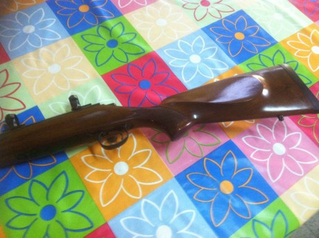 Hola buenas.

He comprado un rifle modelo Stutzen y me gustaría cambiar la caja larga por una culata y 91
