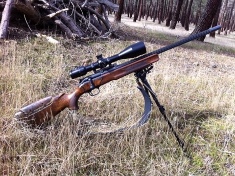 impresionante rifle de caza a larga distancia casi nuevo.
lujo, madera nogal grado 3 con pletinas de madera 02