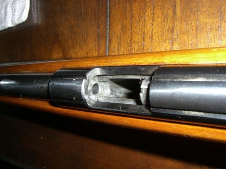 Buenas noches

Bueno, pues aquí teneis la segunda carabina que los gorgojos del foro no me dejaron vender 31