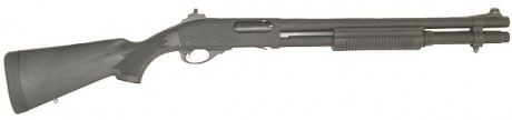 Buenas gente,

Quisiera leer opiniones para tener una noción sobre cual de estas dos elegir.

Remington 01