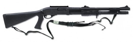 Buenas gente,

Quisiera leer opiniones para tener una noción sobre cual de estas dos elegir.

Remington 20