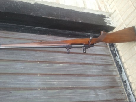 Hola buenas.

He comprado un rifle modelo Stutzen y me gustaría cambiar la caja larga por una culata y 01