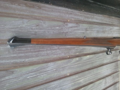 Hola buenas.

He comprado un rifle modelo Stutzen y me gustaría cambiar la caja larga por una culata y 00