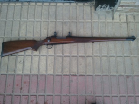 Hola buenas.

He comprado un rifle modelo Stutzen y me gustaría cambiar la caja larga por una culata y 11