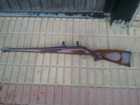 Hola buenas.

He comprado un rifle modelo Stutzen y me gustaría cambiar la caja larga por una culata y 10