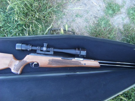 Muy buenas compañeros siguiendo el consejo del perromalo airguns (ANTONIO CIUDAD) he optado por poner 01