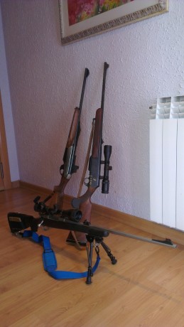 Buenos días chicos-as que alguna habrá seguro , tengo mis tres niños que quiero poner a tiro , soy de 00