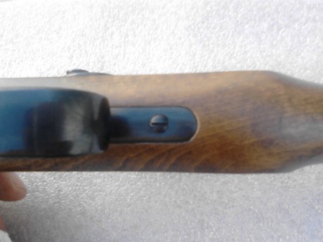 Hola compañeros.
Acabo de comprarme esta pistola de Avancarga.

Quiero que me confirmeis unos detallitos.

Antes 10