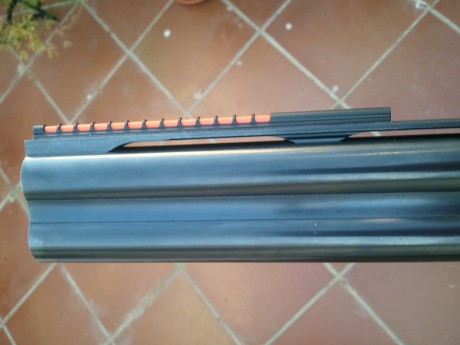 Hola,antes de meterme a cambiar el punto de mira de mi beretta 686,tengo una duda.
Esta punto blanco va 141