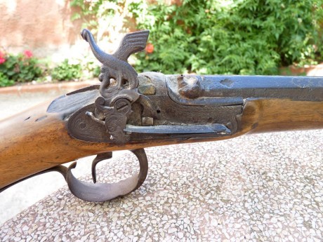 Hola, soy nuevo en esta web, y en el mundo de las armas, que tanto me ha llamado siempre la atención. 01