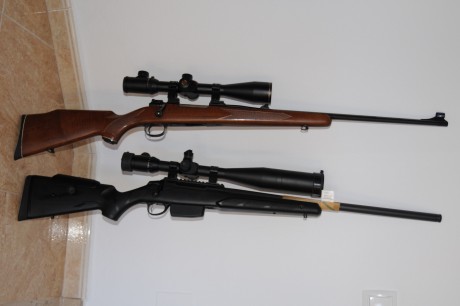 Hablando del tema para el compañero que quiere comprar un rifle para sus clientes que vengan sin arma 80