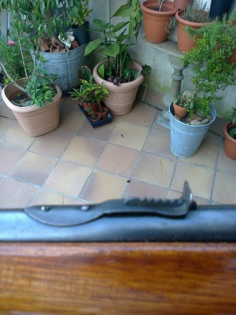 Hola, tengo esta vetusta carabina del 22 marca Onena y después de varias sesiones de tiro, encuentro que 00