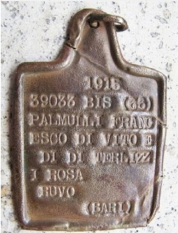 Hola , alguien me podía poner algunas fotos de las placas de identificación del CTV Italiano en la GCE 20