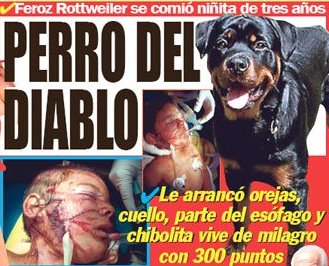 https://elventano.blogspot.com.es/2013/07/la-policia-detiene-un-hombre-y-mata-su.html 170