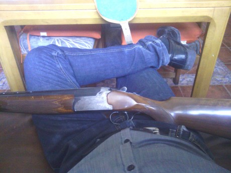 hace poco adquiri un arma a un compañero de este foro a un precio economico, y cuando le recivi decidi 12