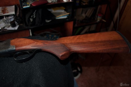 hace poco adquiri un arma a un compañero de este foro a un precio economico, y cuando le recivi decidi 11