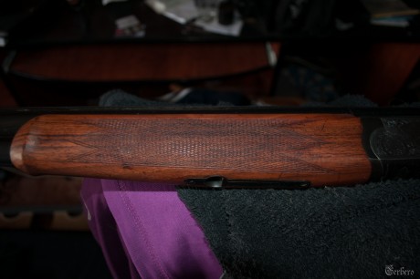 hace poco adquiri un arma a un compañero de este foro a un precio economico, y cuando le recivi decidi 10