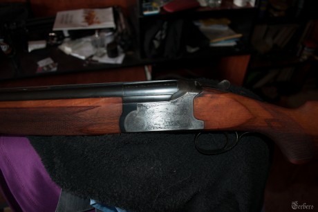 hace poco adquiri un arma a un compañero de este foro a un precio economico, y cuando le recivi decidi 22