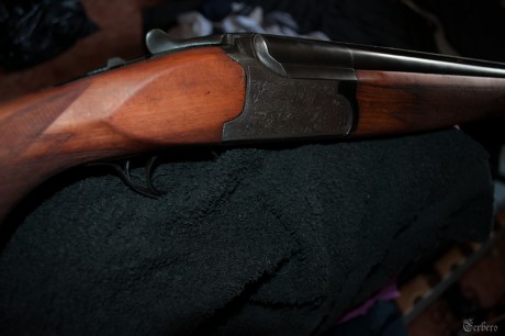 hace poco adquiri un arma a un compañero de este foro a un precio economico, y cuando le recivi decidi 21