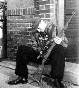 Hola:

En primer lugar debo deciros que las armas modernas no me interesan nada y que sólo me interesan 161