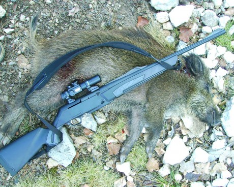 Ya amenacé hace tiempo en el hilo de los Benelli, seguramente es el rifle más extendido en España y cada 50