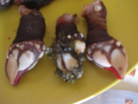Este es un llamamiento para los foreros de Cantabria que no tenemos el gusto de conocernos en persona, 150