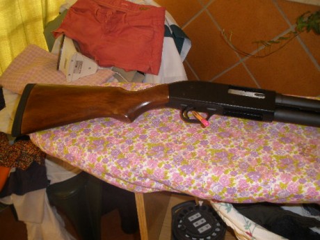 . 81