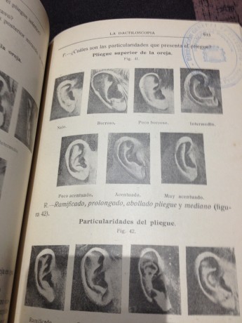 Hola, me encantan los libros antiguos, de historia, de ciencias sobre todo, biología, libros de naturalistas, 162