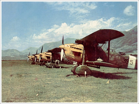 Sé que al principio de la II Guerra Mundial, habían en servicio algunos aviones biplanos (Gloster Gladiator, 00