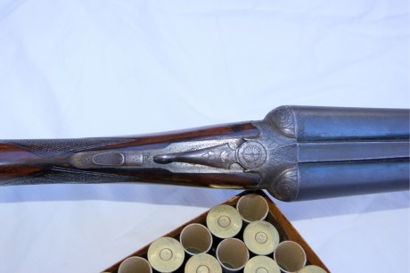 Hola a todos, me gustaría saber algo más acerca de esta escopeta de caza. Como veréis en la foto, la cartuchería 01