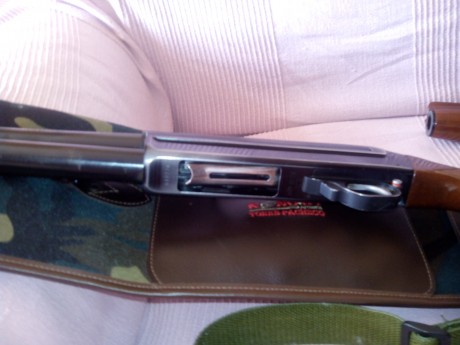 Hola,ayer adquirí una Benelli Sl 121 de un particular.
La escopeta tiene 66 cm de cañón y *** estrellas 00