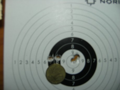 He oido hablar mal de los calibres 177 y 22 ac en la Kaliber Cricket.Alguien ha tenido una experiencia 110