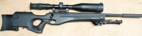 Hola. Estoy buscando una culata especial para mi CZ Varmint del .22lr, sabeis de alguién que las venda 100