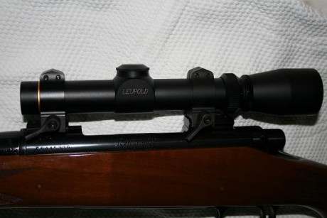   Leuopold VX 3 1,5-5 X 20    
 en retícula german 4

 http://www.leupold.com/hunting-and-shooting/products/scopes/vx-3-riflescopes/vx-3-1-5-5x20mm/ 70