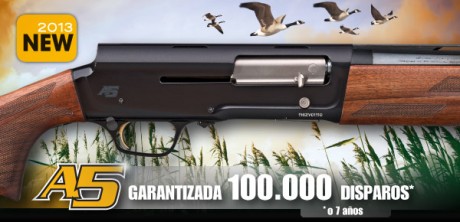 Estoy reuniendo fuerzas para decirle a la jefa que quiero comprar una escopeta nueva....
Estoy dudando 12