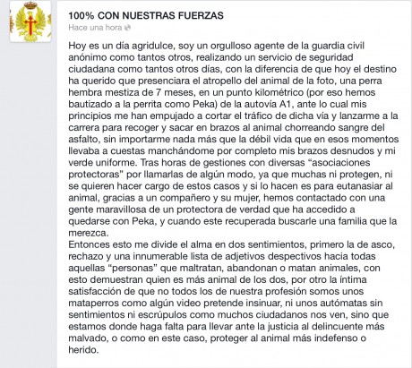 Me imagino habréis visto en todos los noticiarios la intervención de la Guardia Civil en un pueblo de 100